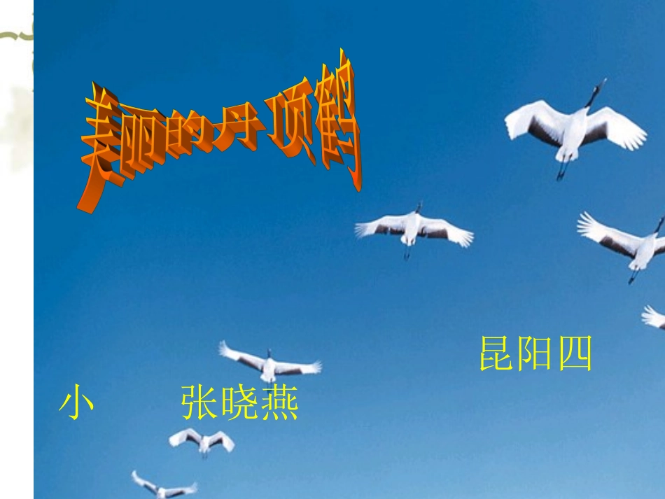 《美丽的丹顶鹤》第二课时课件3_第1页