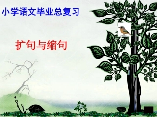 缩句、扩句复习课件
