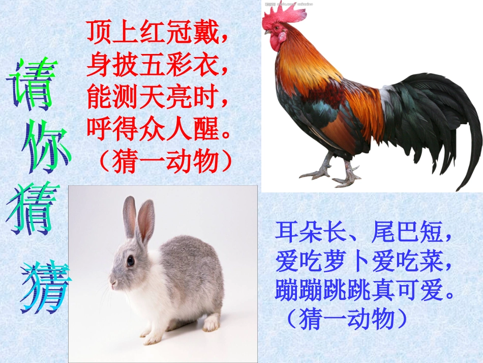 鸡兔同笼PPT课件(1)_第2页