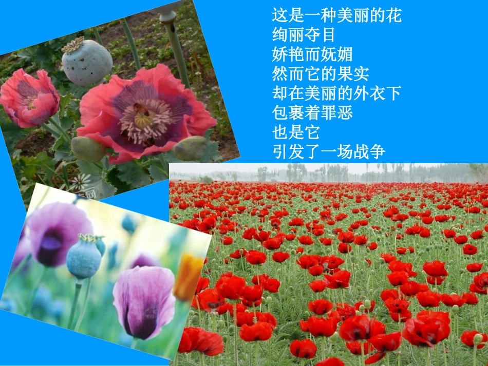 鸦片战争微课，作者：梁轶_第2页