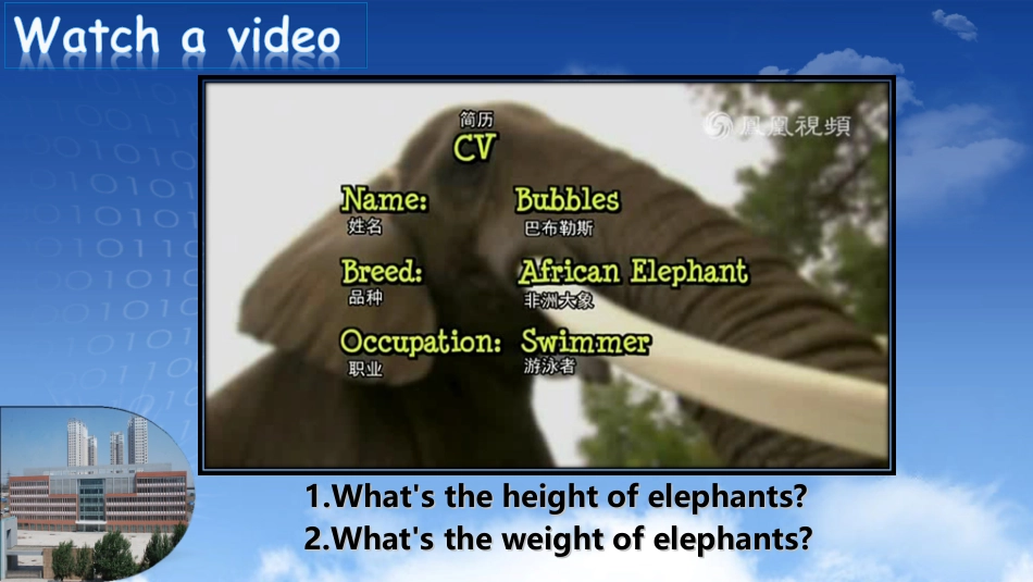 一师一优课课件Unit5SectionB2bTheElephant_第3页