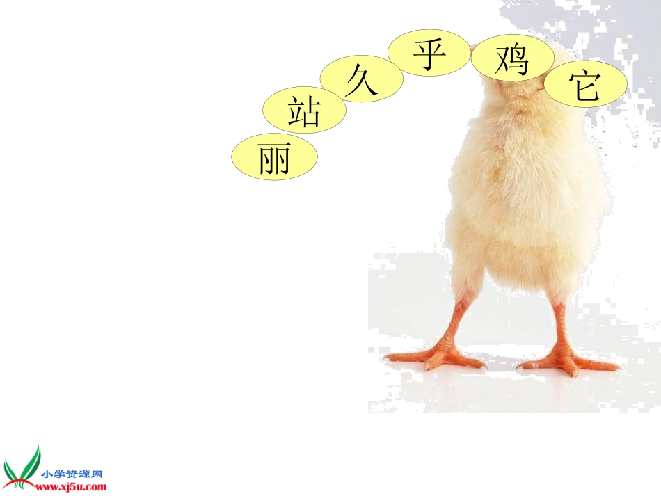 《世界多美呀》PPT_第2页