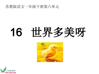 《世界多美呀》PPT