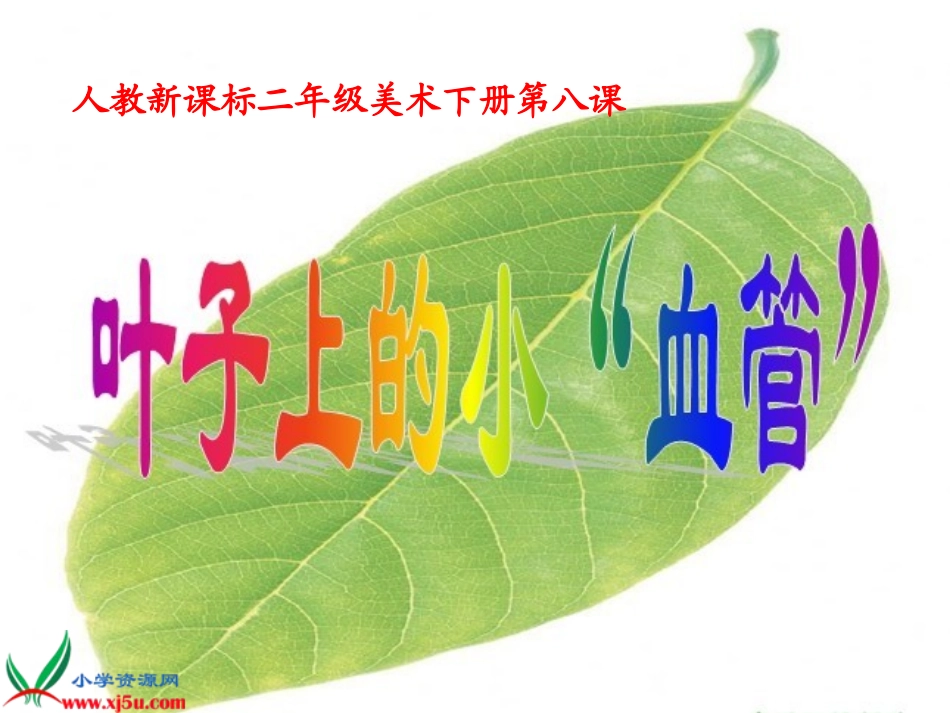 《叶子上的小血管》课件(人教新课标二年级美术下册)PPT课件_第1页