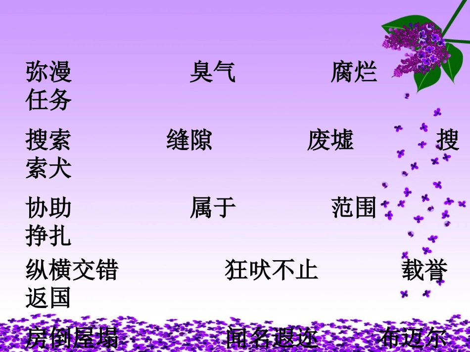 中国国际救援队-真棒_第2页