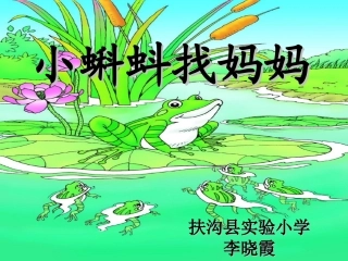 小蝌蚪找妈妈 (2)