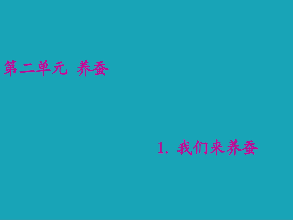 《我们来养蚕》用_第1页