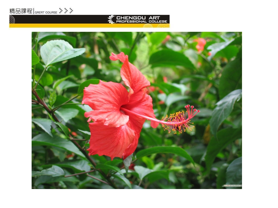 构成的形式 (2)_第3页