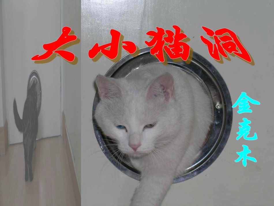 《大小猫洞》课件[1]_第1页