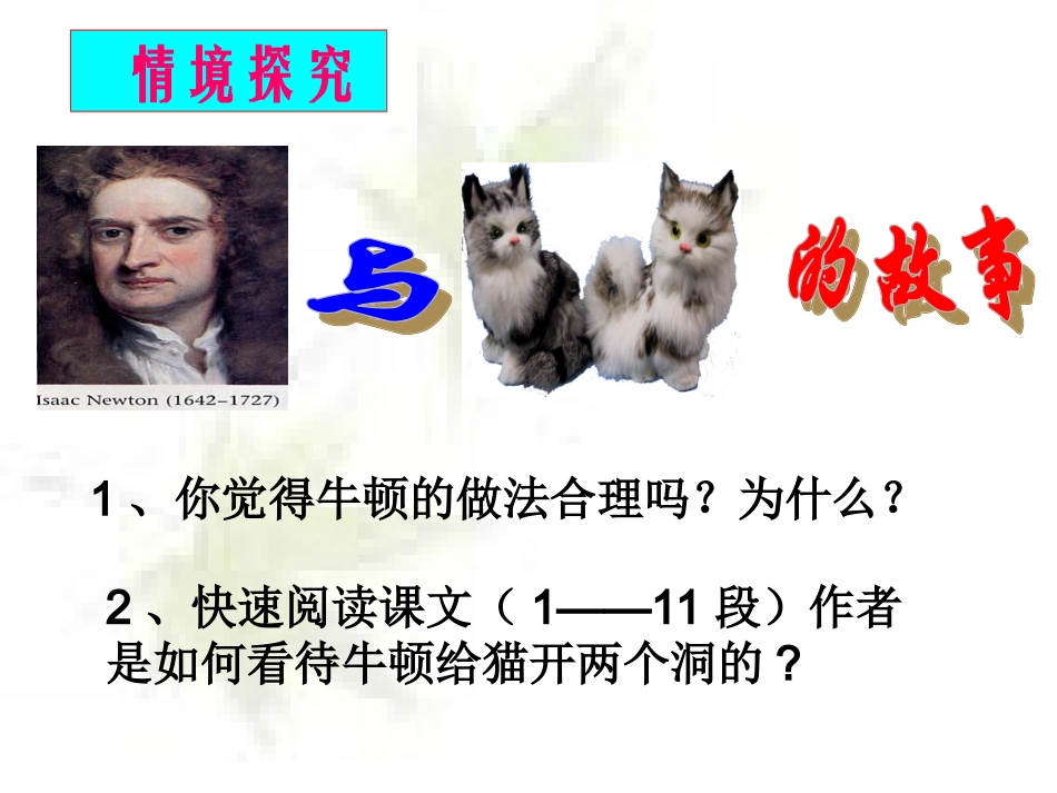 《大小猫洞》课件[1]_第3页