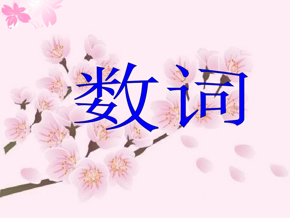 数词 (2)_第1页