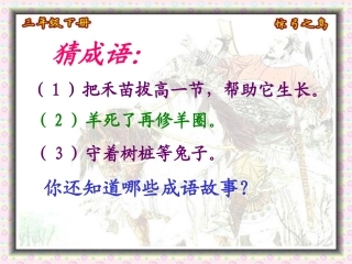 《惊弓之鸟》课件（35页）