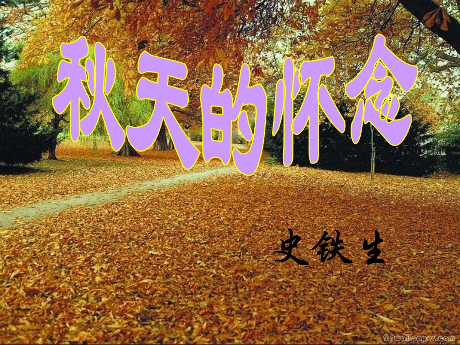 《秋天的怀念》一_第2页