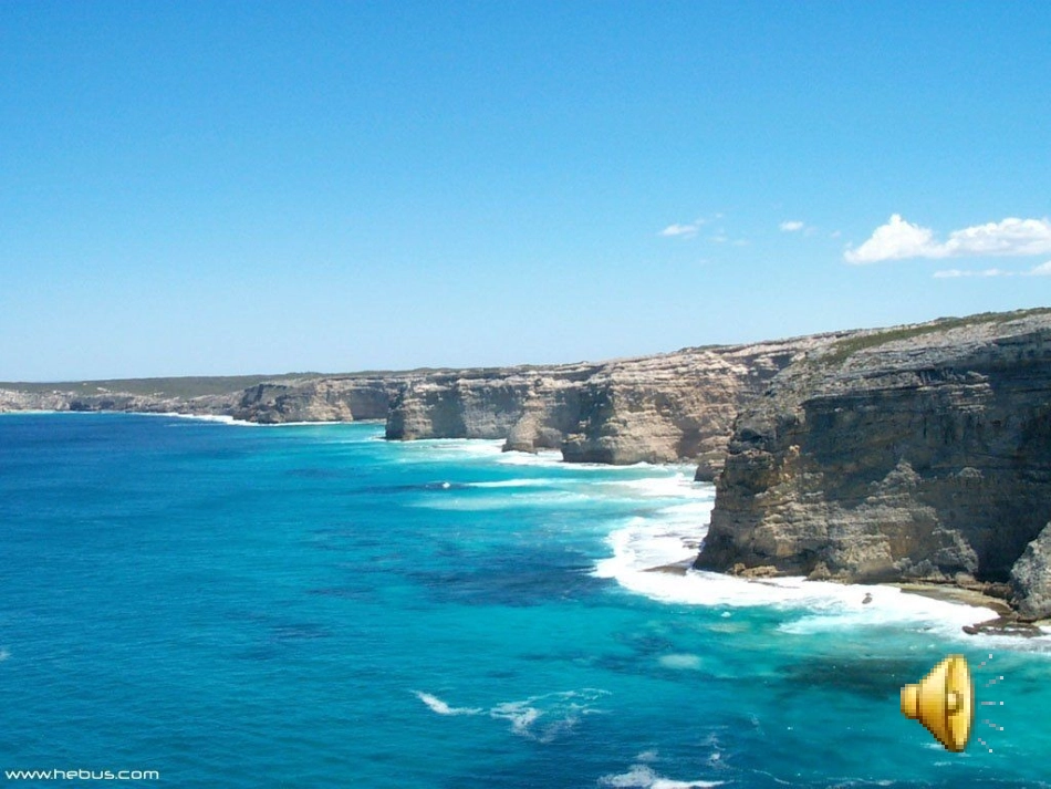 《森林水车》—小学二年级音乐课件_第3页