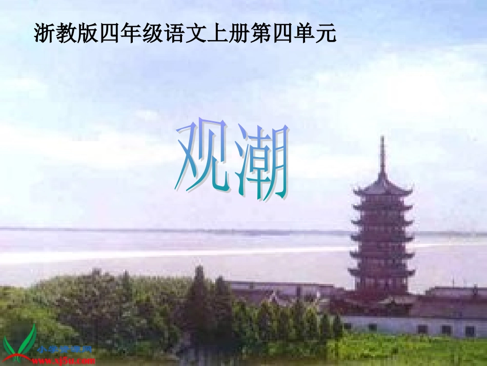 浙教版小学语文四年级上册《观潮》PPT教学演示课件_第1页