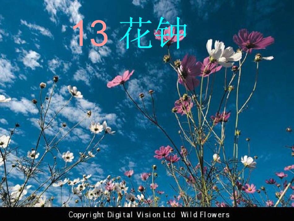 《花钟》PPT课件 (2)_第1页