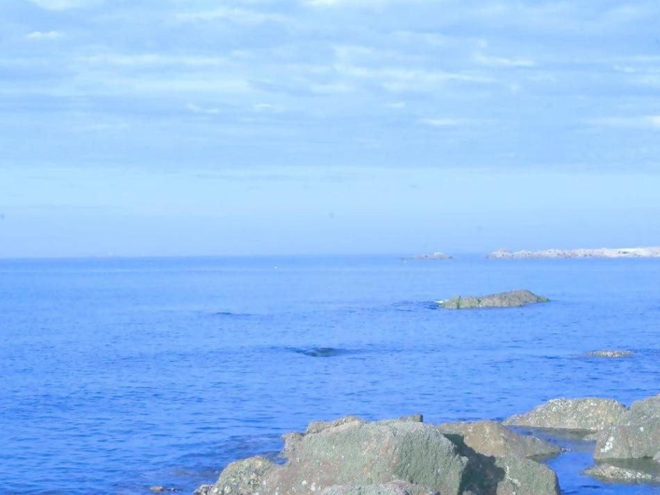 《赶海》第一课时课件_第2页