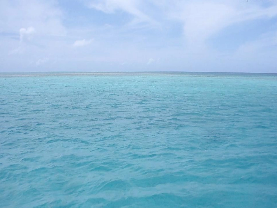 《赶海》第一课时课件_第3页