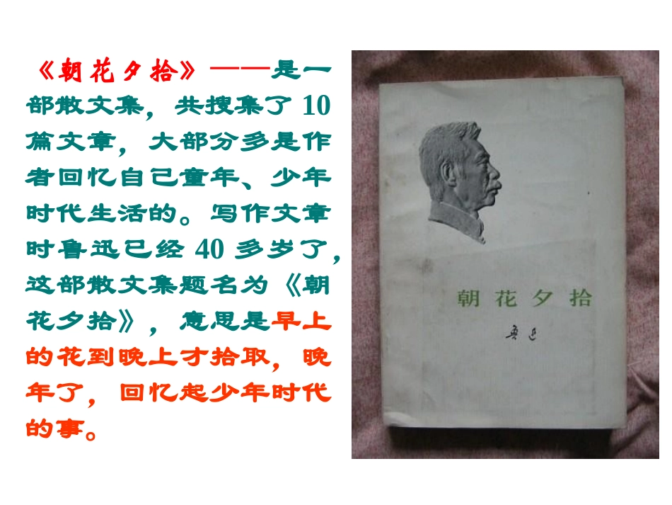 《从百草园到三味书屋》课件 (5)_第3页