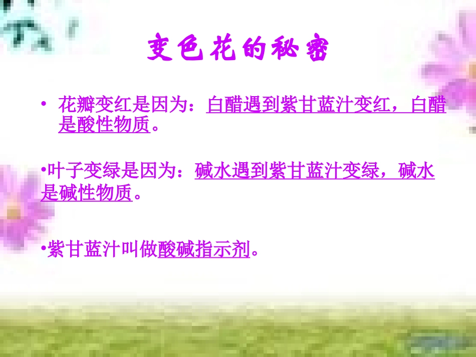 《变色花》PPT-苏教版PPT课件 (2)_第2页