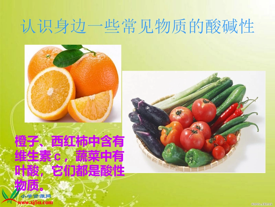 《变色花》PPT-苏教版PPT课件 (2)_第3页