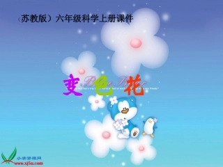 《变色花》PPT-苏教版PPT课件 (2)