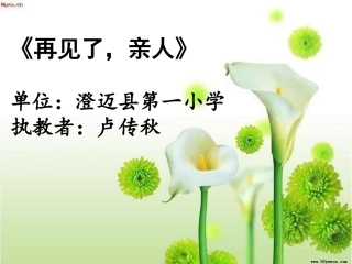 再见了亲人 (2)