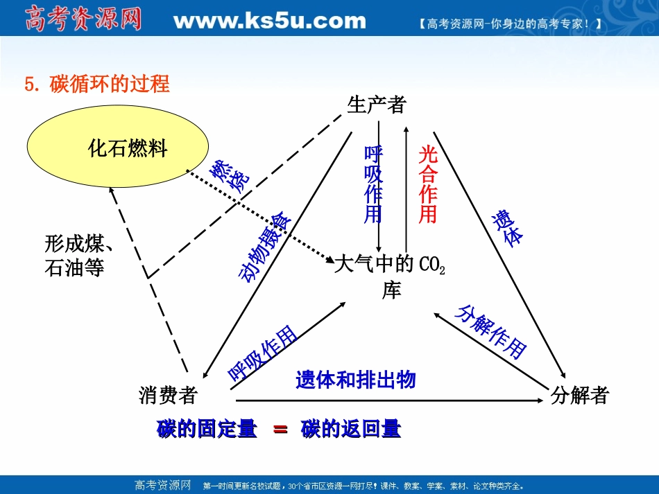 专题53_生态系统的物质循环（课件）-2016-2017学年高二生物同步精品课堂（基础版）（必修3）_第3页