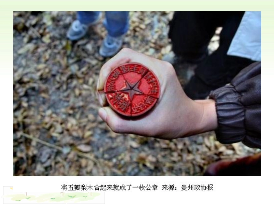 2018部编道德与法治九上课件：第三课追求民主价值-第1课时生活在民主国家_第3页