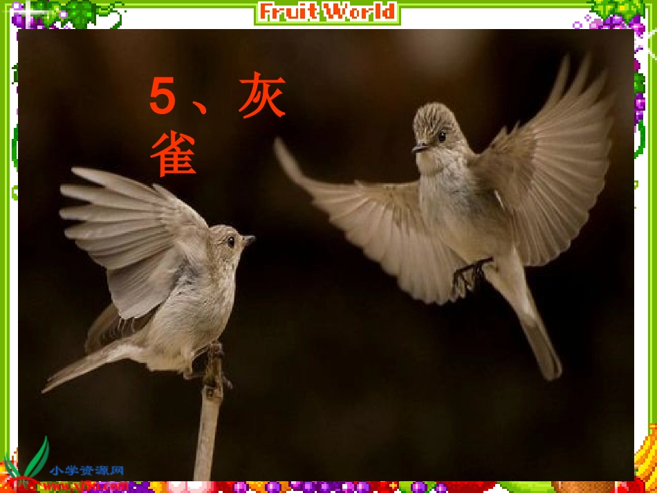 《灰雀》第一课时_第3页