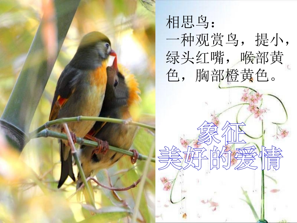《我们上路了》PPT课件_第3页