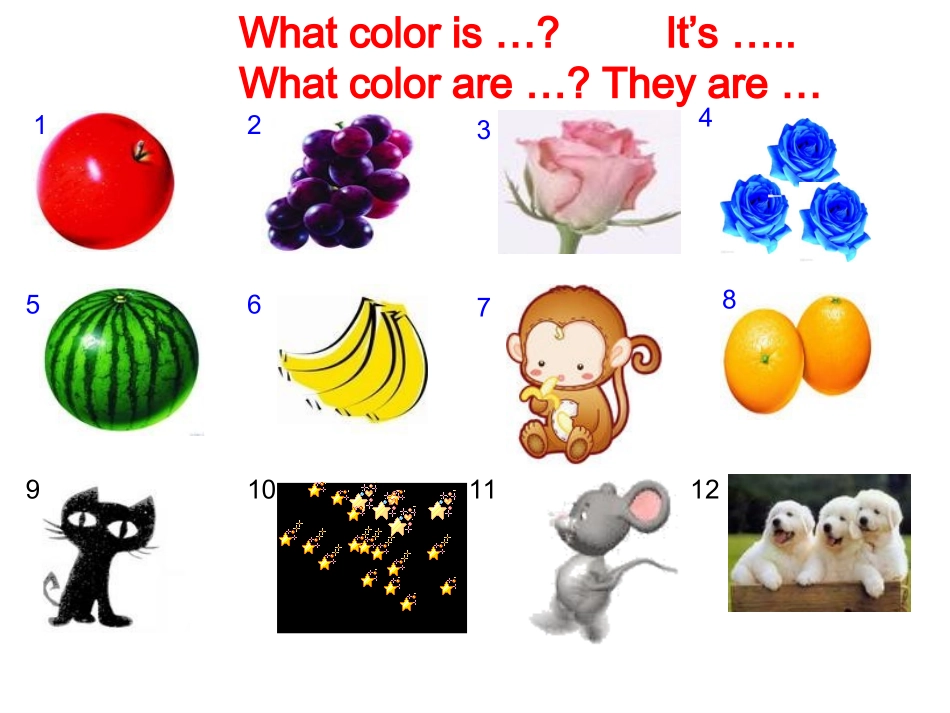 七年级英语上册unit2Topic2SectionB_第2页