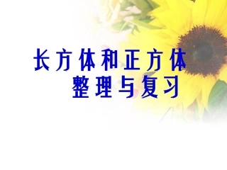 _长方体和正方体整理与复习2