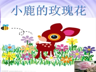 《小鹿的玫瑰花》PPT课件 (2)