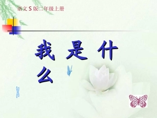 《我是什么》课件(语文S版二年级语文上册课件) (2)