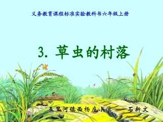 草虫的村落 (9)