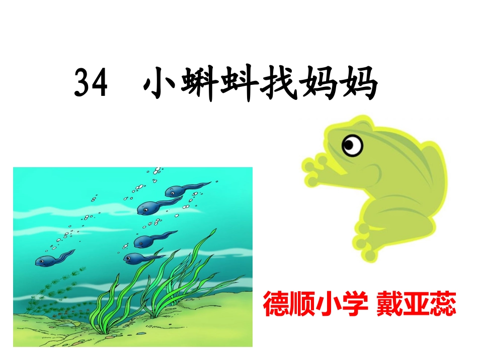 小蝌蚪找妈妈 (5)_第3页