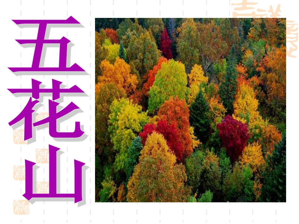 《五花山》教学课件_第1页
