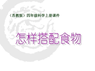 《怎样搭配食物》PPT课