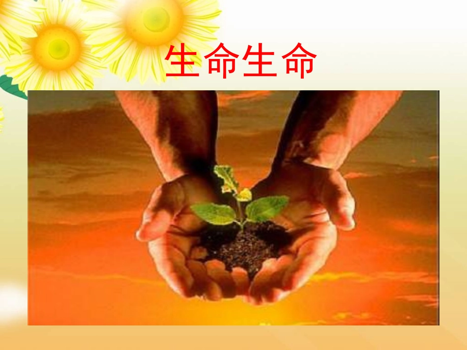 生命生命课件 (2)_第1页