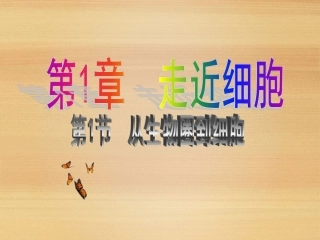 《从生物圈到细胞》课件（2）