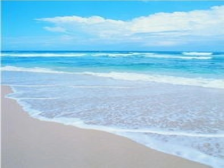 《金色的海滩》PPT_第2页