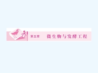 《金版新学案》2011高三生物一轮 课时1 微生物的类群和营养课件 选修5