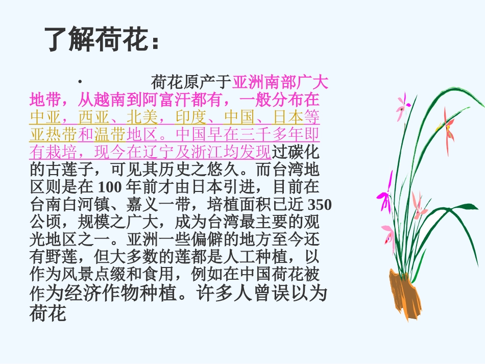 七年级语文上册《荷叶·母亲》优秀实用课件 人教新课标版_第3页