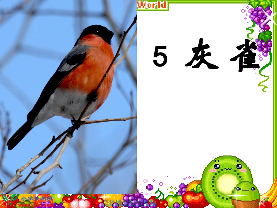 《5灰雀》PPT课件_第1页