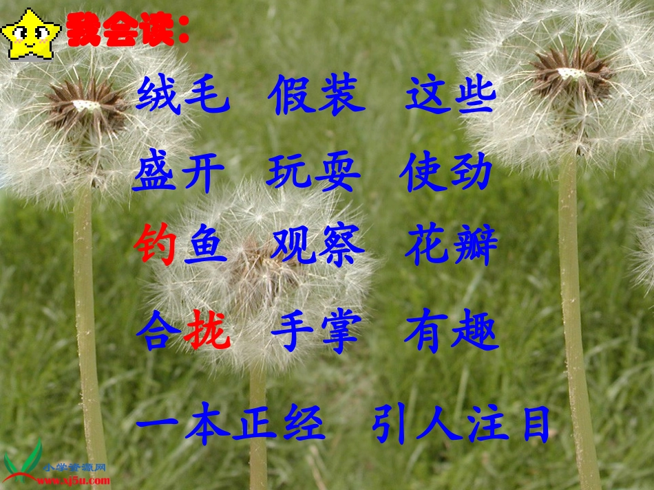金色的草地课件1_第3页