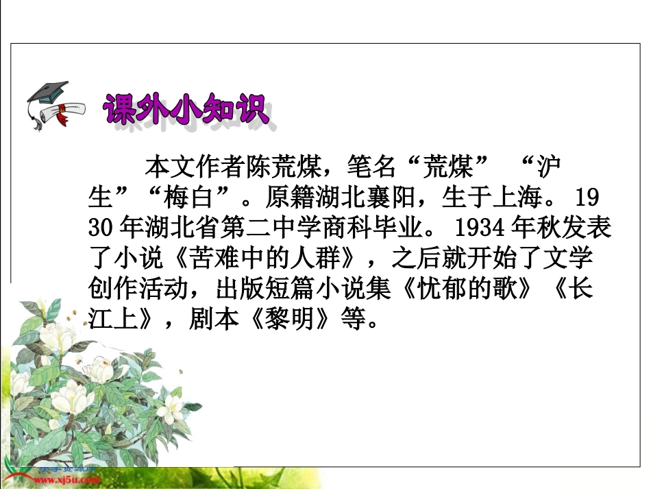 《广玉兰》PPT课件_第3页