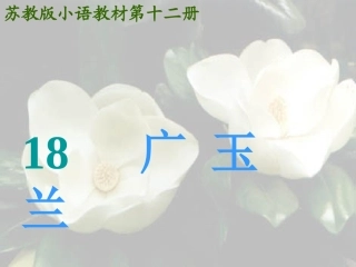 《广玉兰》PPT课件