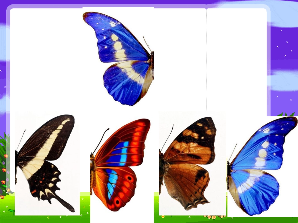 轴对称图形课件PPT_第3页