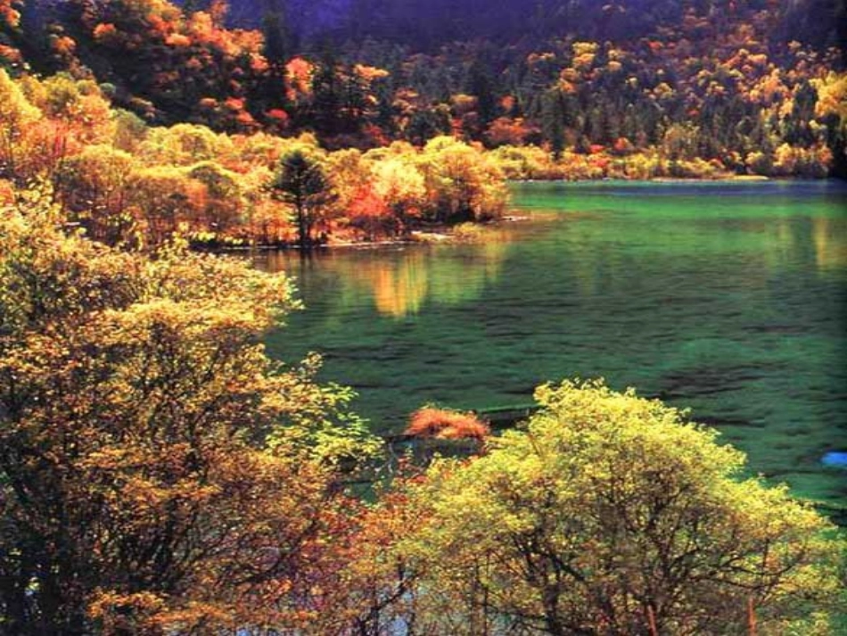 沪江小学资源网_01秋天的图画课件_2012121894949691_749_第2页